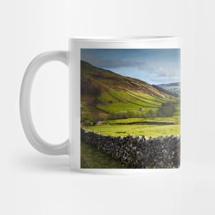 Swaledale Views Mug